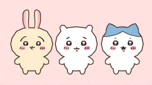 Chiikawa Characters Cute Trio Wallpaper