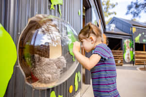 Child Animal Encounter Adelaide Zoo Wallpaper