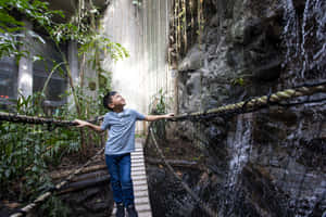 Child Exploring Rainforest Exhibit Ontario Science Centre Wallpaper