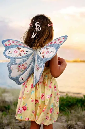Childin Butterfly Costumeat Sunset Wallpaper
