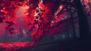 Chill 4k Dark Red Trees Wallpaper