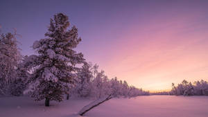 Chill 4k Snow Purple Sky Wallpaper