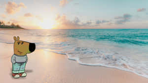 Chill Guy At Beach Wallpaper