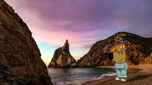 Chill Guy At Sunset Beach Wallpaper