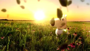 Chill Guy Enjoying Sunset Wallpaper