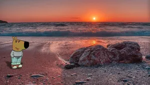 Chill Guy Sunset Beach Wallpaper