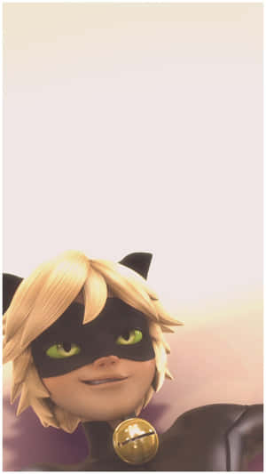 Chill Out Cute Cat Noir Wallpaper