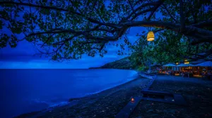 Chilly Night Sky Filled With Stars Wallpaper