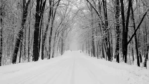 Chilly Winter Adventure On An Icy Road Wallpaper
