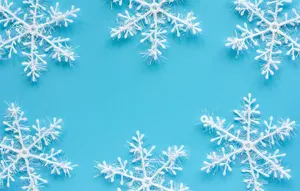 Chilly Winter Landscape With Snowy Trees Wallpaper