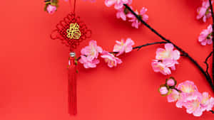 Chinese Knots And Plum Blossoms Wallpaper