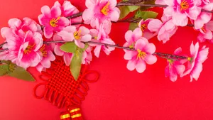 Chinese Knots With Cherry Blossoms Wallpaper