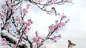 Chinese Watercolor Plum Blossoms Wallpaper