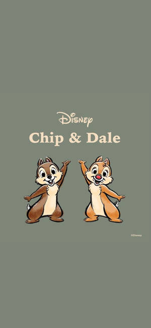 Chip N Dale On Gray Backdrop Wallpaper