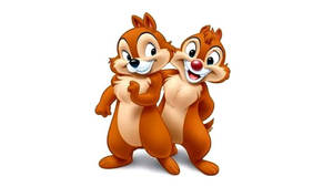 Chip N Dale On White Backdrop Wallpaper