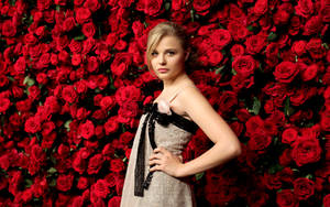 Chloë Grace Moretz With Red Roses Wallpaper