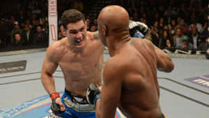 Chris Weidman Audience Watching Wallpaper