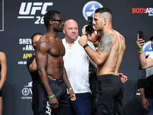 Chris Weidman Uriah Hall Wallpaper