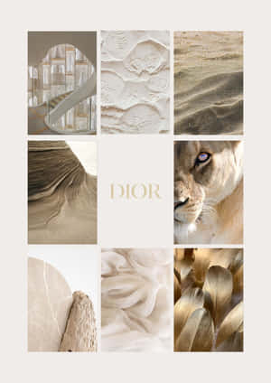 Christian Dior Inspiration Collage Wallpaper