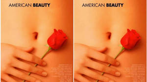 Christina Hendricks American Beauty Poster Wallpaper