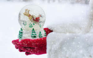 Christmas Snow Globe Magic Wallpaper