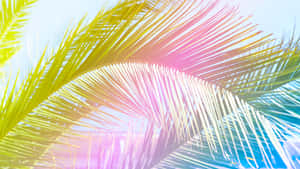 Chromatic Palm Fronds Aesthetic Wallpaper