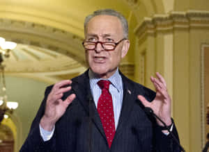 Chuck Schumer Speakingat Event.jpg Wallpaper