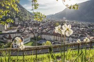 Chur Cityscapewith Flowers Wallpaper