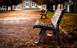 Church Side Bench Wallpaper