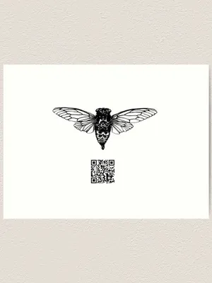 Cicada And Qr Code Wallpaper