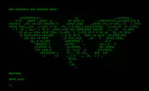 Cicada Matrix Green Digital Wallpaper