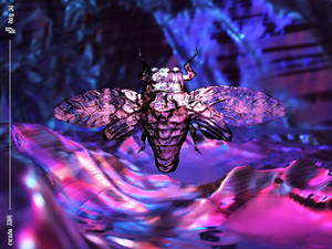 Cicada Purple Pink Art Wallpaper