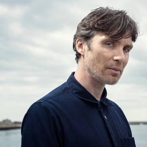 Cillian Murphy Beard Wallpaper