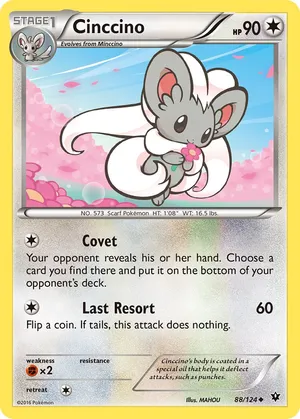 Cinccino Card With Pink Flowers Wallpaper