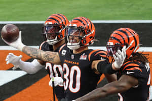 Cincinnati Bengals Celebrationon Field Wallpaper