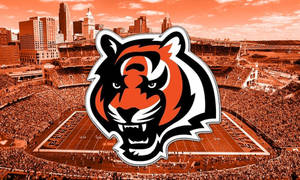 Cincinnati Bengals Football Stadium Wallpaper