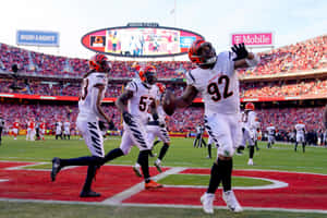 Cincinnati Bengals Player Bj Hill Afc Championship Nfl Game Wallpaper