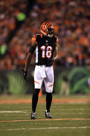 Cincinnati Bengals Player Number18 Wallpaper