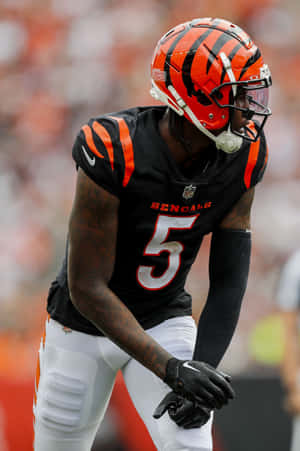 Cincinnati Bengals Player Number5 Wallpaper