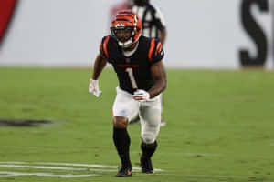 Cincinnati Bengals Playerin Action Wallpaper