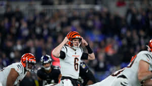 Cincinnati Bengals Quarterback Pre Snap Signal Wallpaper