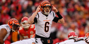 Cincinnati Bengals Quarterback Preparation Wallpaper