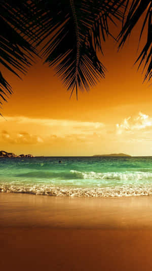 Cinematic Sunset Beach Tropical Iphone Wallpaper