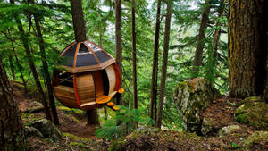 Circular Wood Tree House Wallpaper