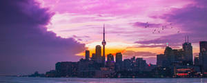 Cityscape Pink Sunset Wallpaper