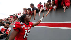 Cj Bailey Football Star Wallpaper