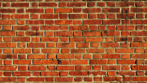 Classic Brown Brick Wall Wallpaper