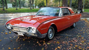 Classic Ford Thunderbird On The Road Wallpaper