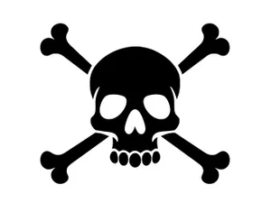 Classic Jolly Roger Skulland Crossbones Wallpaper