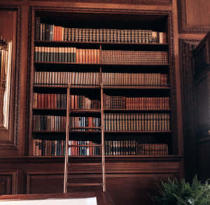 Classic Library Bookshelves Wallpaper